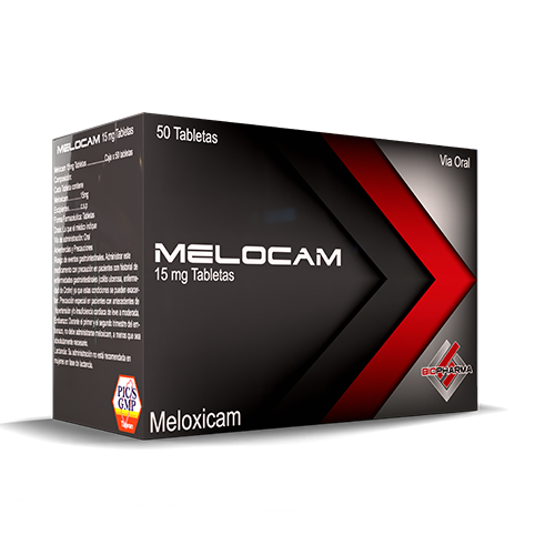MELOCAM 15 MG X 1 TAB
