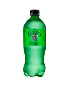 REFRESCO GASEOSO EVERVES GINGER ALE DESECHABLE 600 ML